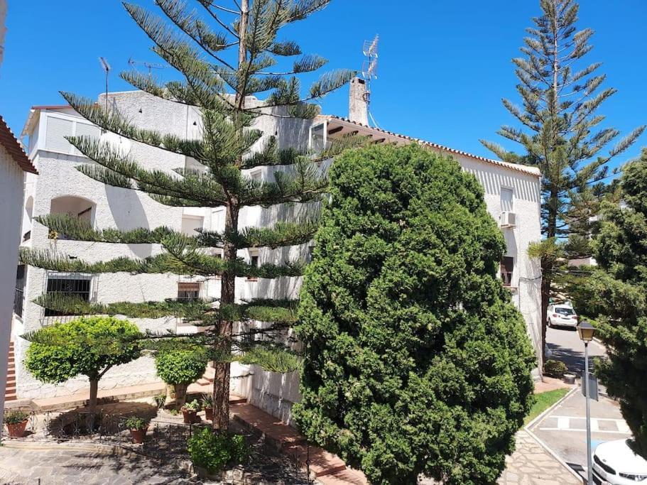 Apartamento A 150 Metros De La Playa Y Del Puerto Deportivo Estepona Eksteriør bilde